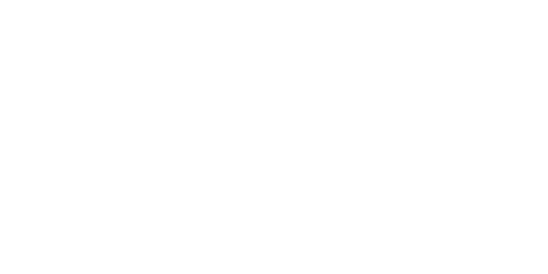 Diario Sur