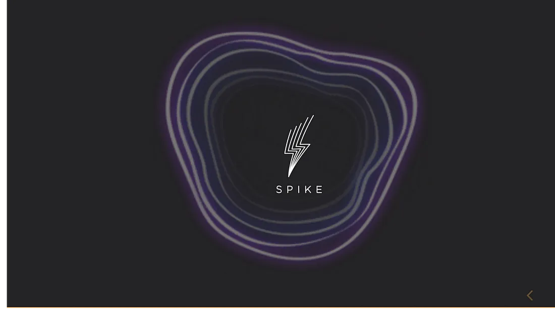 Spike: Una empresa que nació entre Valdivia y Boston